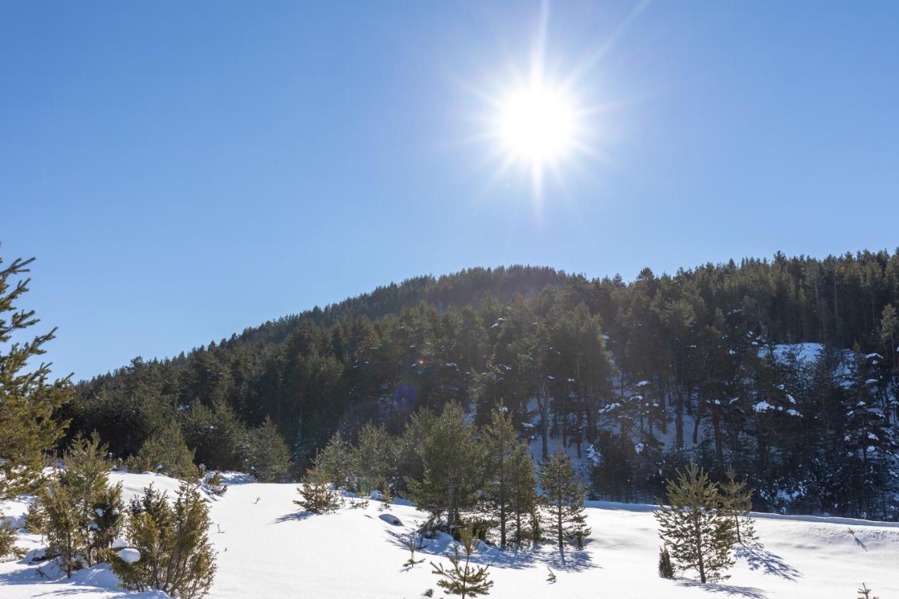 Vila Hanovi Zabljak エクステリア 写真
